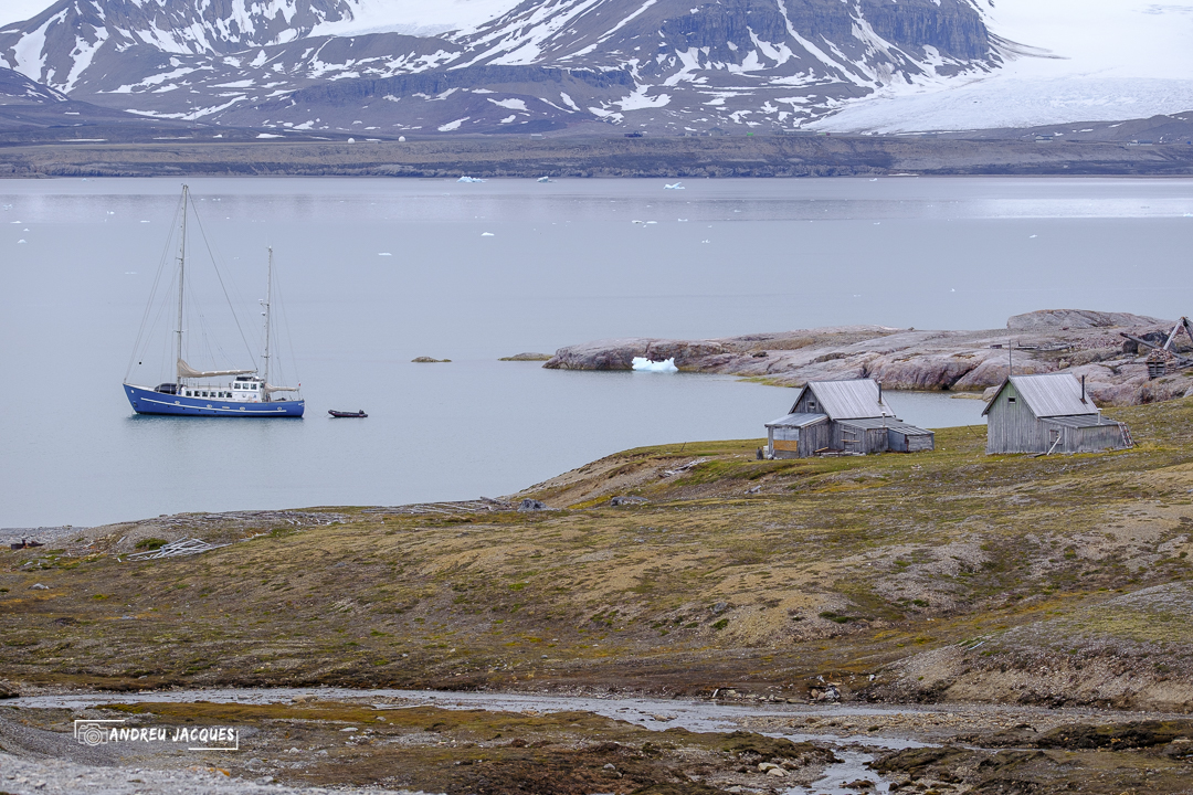 svalbard-110.jpg